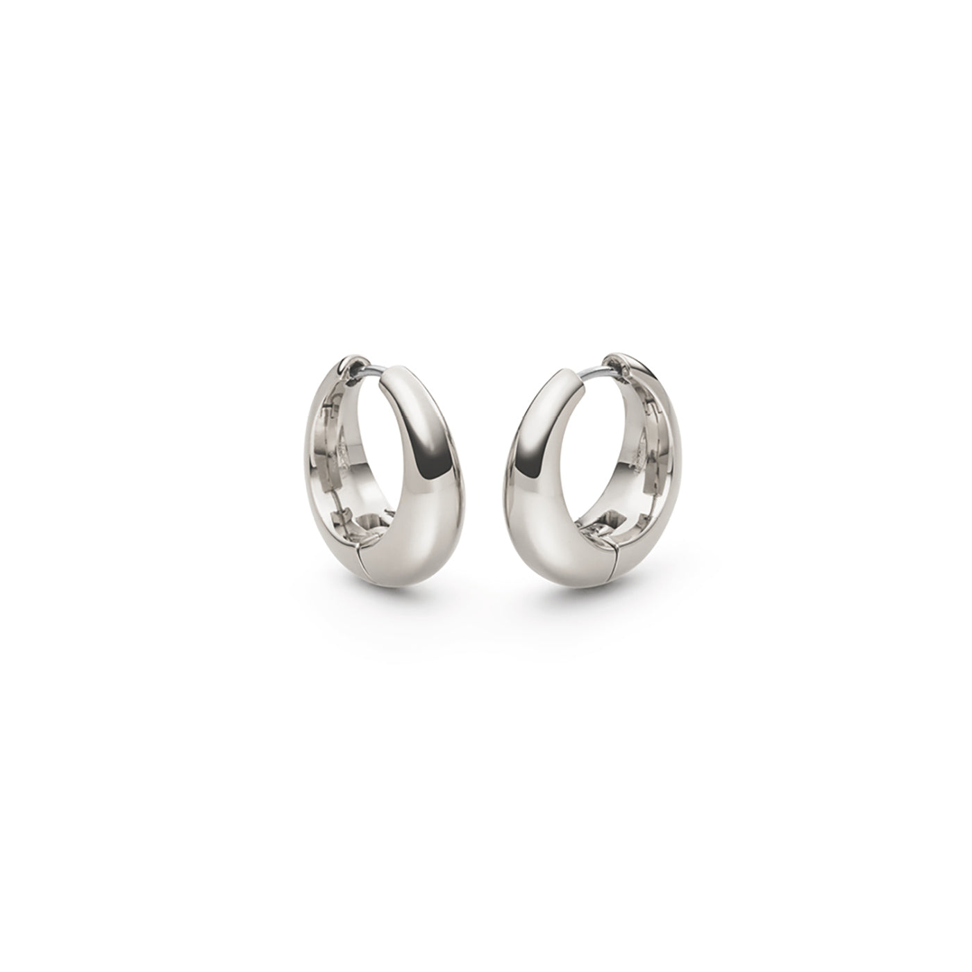 05096-01 Boccia Titanium Earrings