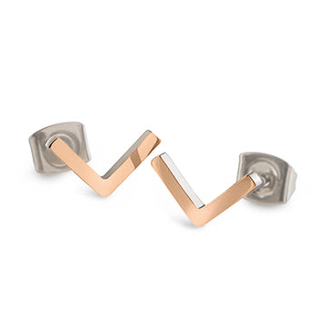 05024-03 Boccia Titanium Earrings