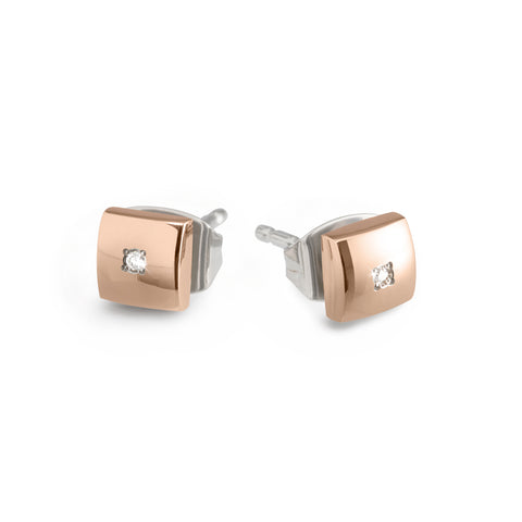 0516-01 Boccia Titanium Earrings