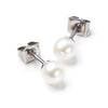 0535-01 Boccia Titanium Earrings