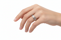 0134-02 Boccia Titanium Ring