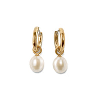 05068-02 Boccia Titanium Earrings