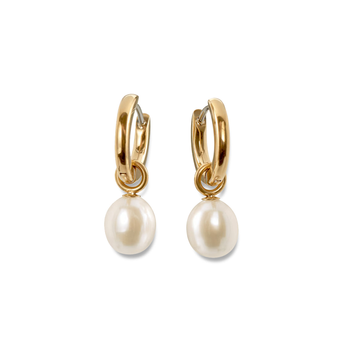 05068-02 Boccia Titanium Earrings