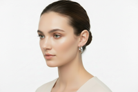 05096-01 Boccia Titanium Earrings