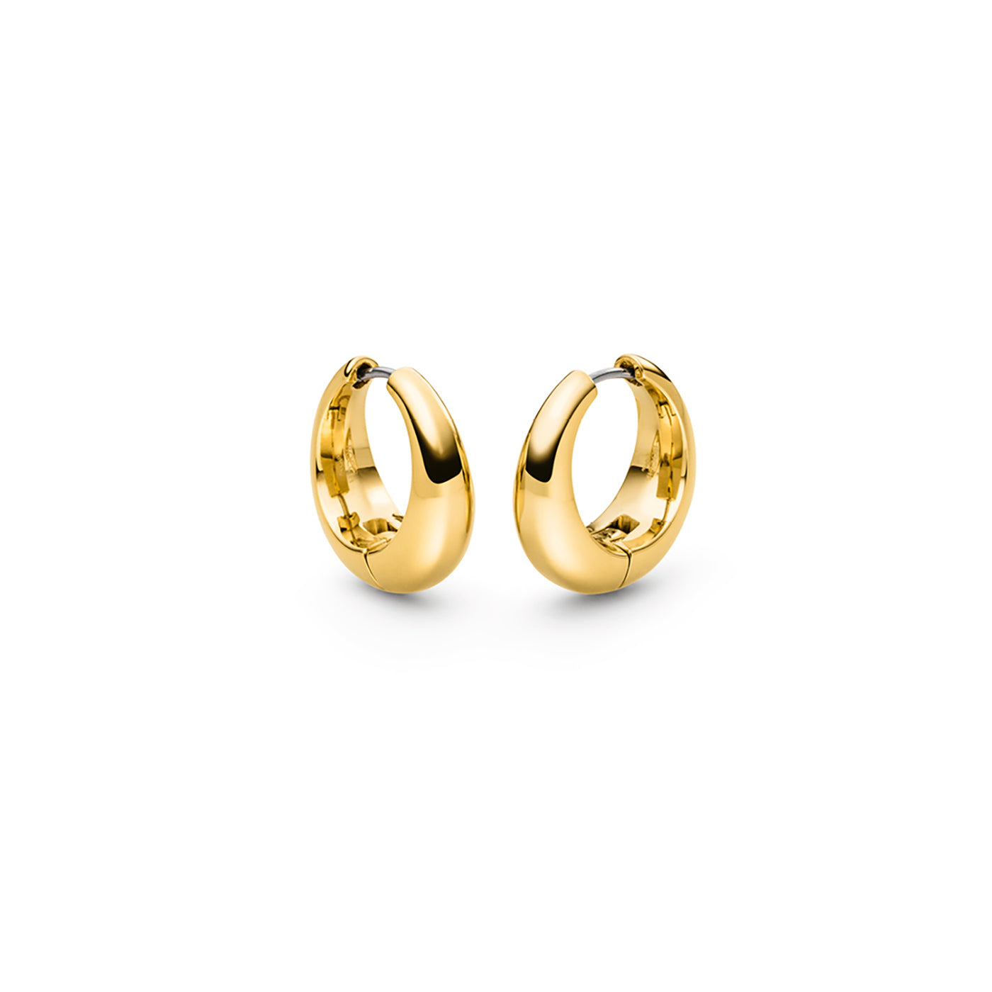 05096-02 Boccia Titanium Earrings