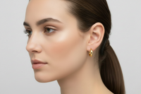 05096-02 Boccia Titanium Earrings