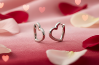 05099-01 Boccia Titanium Earrings