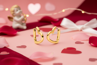 05099-02 Boccia Titanium Earrings