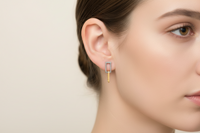 05106-02 Boccia Titanium Earrings