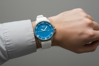 3535-47 Boccia Titanium Watch