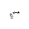 0504-01 Boccia Titanium Earrings