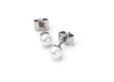 0534-01 Boccia Titanium Earrings