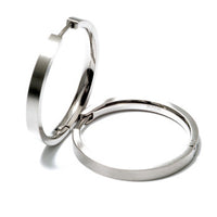 0517-01 Boccia Titanium Earrings