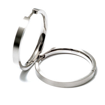 0517-01 Boccia Titanium Earrings