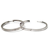 0516-01 Boccia Titanium Earrings