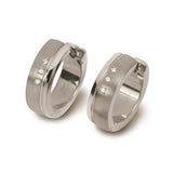 0539-13 Boccia Titanium Earrings